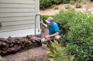 Termite inspection kansas city