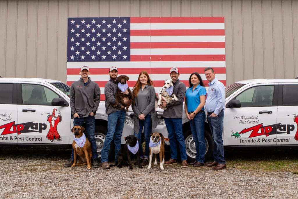 Pest Control Kansas City