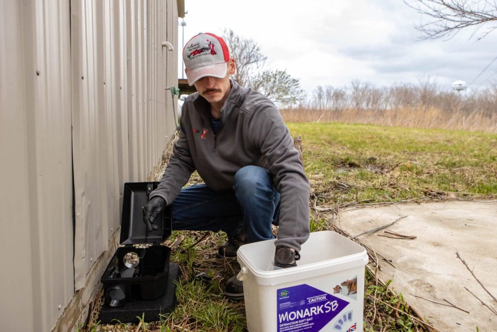rodent control inspection in kansas city home