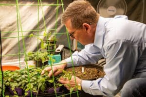 farming pest management