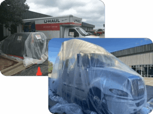 fumigating for bed bugs