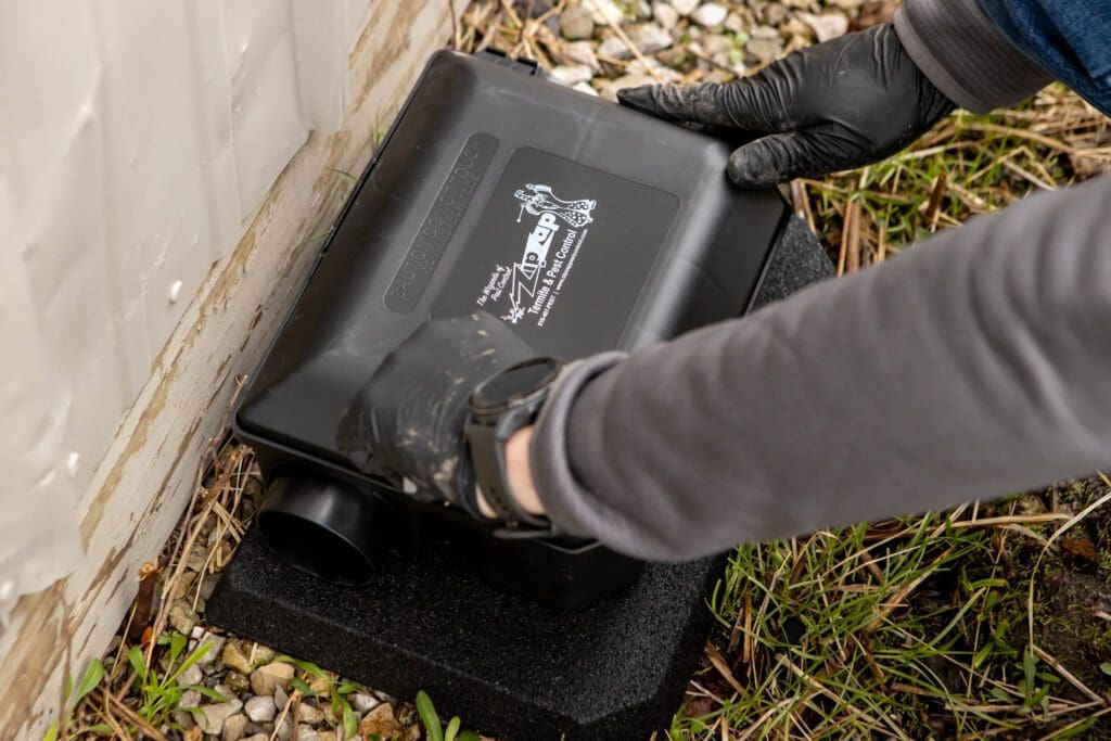 professional rodent treatment in kansas city