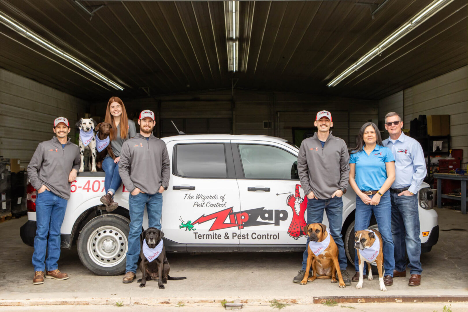 zipzap termite and pest control