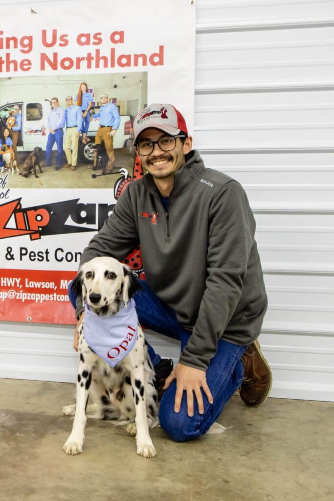 Flea Control in Kansas City