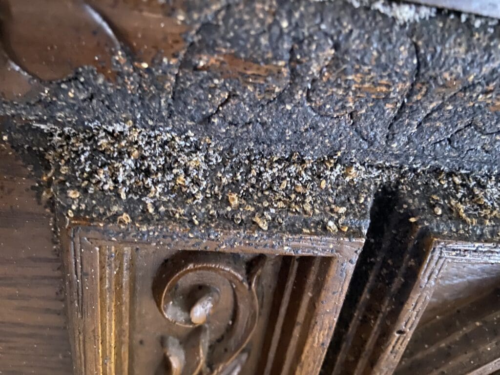 signs of bed bugs on headboard in Kansas City Home