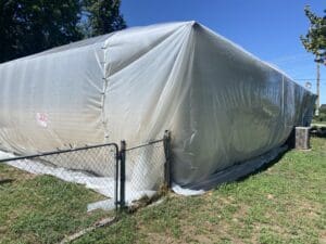 vikane gas for bed bugs