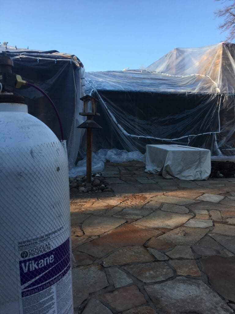 Preventing bed bugs in Kansas City home bedroom